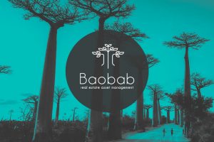 Logo Baobab